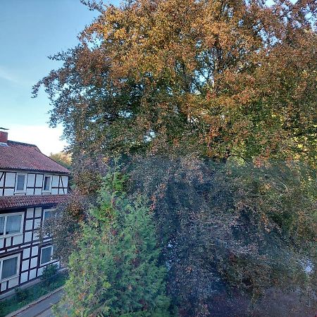 Gemuetliche Ferienwohnung Im Harz Bad Grund Dış mekan fotoğraf