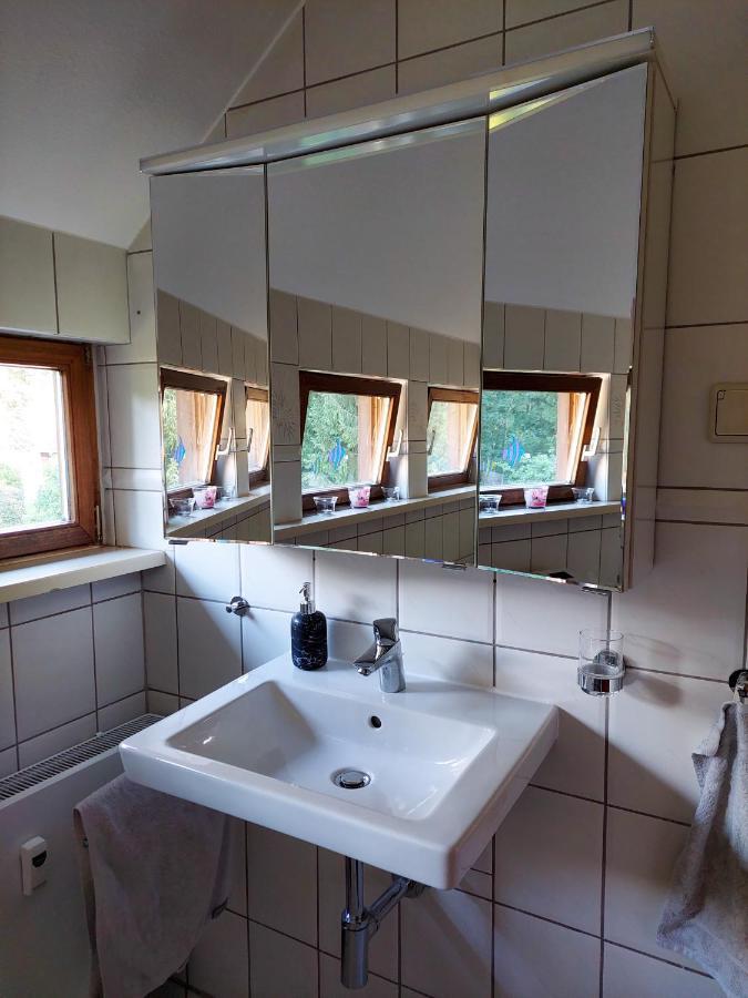 Gemuetliche Ferienwohnung Im Harz Bad Grund Dış mekan fotoğraf
