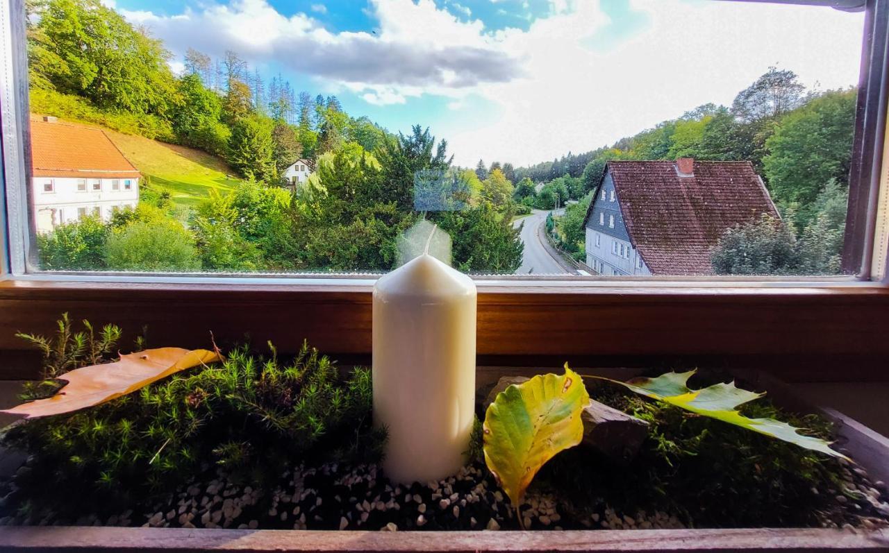 Gemuetliche Ferienwohnung Im Harz Bad Grund Dış mekan fotoğraf
