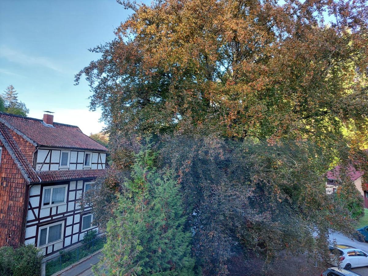 Gemuetliche Ferienwohnung Im Harz Bad Grund Dış mekan fotoğraf